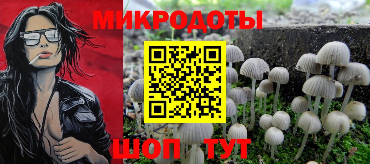 Галлюциногенные грибы мухоморы Балтийск